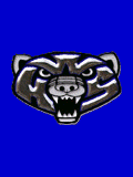 Westover Wolverines